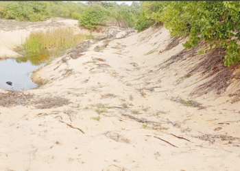 மணல் அகழ்வதற்கான அனுமதியை நிறுத்துங்கள் – சென்மேரிஸ் வி.கழகம் கோரிக்கை