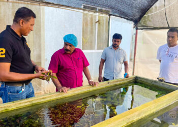 நீர்த் தாவர இழைய வளர்ப்பு குறித்த கலந்துரையாடல்