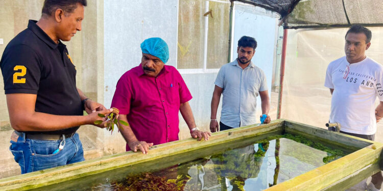 நீர்த் தாவர இழைய வளர்ப்பு குறித்த கலந்துரையாடல்