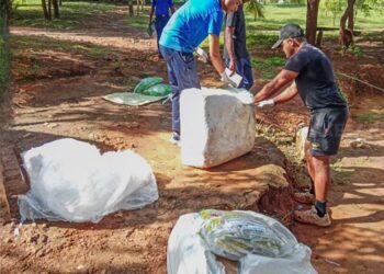 சட்டவிரோதமாக கொண்டுவரப்பட்ட பூச்சிக்கொல்லி மருந்துகள்