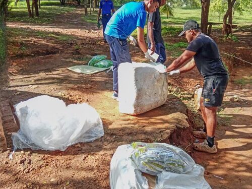 சட்டவிரோதமாக கொண்டுவரப்பட்ட பூச்சிக்கொல்லி மருந்துகள்