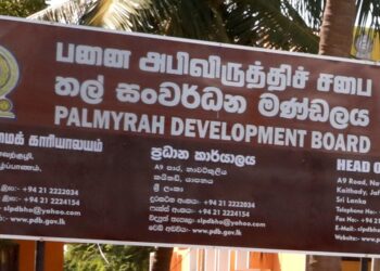 பனைசார் உற்பத்தியில் ஈடுபடும் தொழிலாளிகளை பதிவு செய்யக் கோரிக்கை