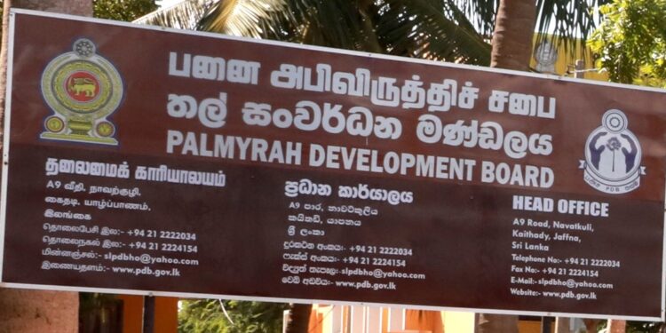 பனைசார் உற்பத்தியில் ஈடுபடும் தொழிலாளிகளை பதிவு செய்யக் கோரிக்கை