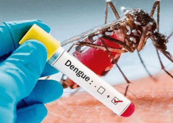 அனர்த்தத்தின் பின்னர் டெங்கு பரவும் ஆபத்து – தேசிய டெங்கு கட்டுப்பாட்டுப் பிரிவு எச்சரிக்கை!