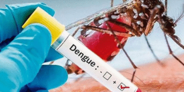 அனர்த்தத்தின் பின்னர் டெங்கு பரவும் ஆபத்து – தேசிய டெங்கு கட்டுப்பாட்டுப் பிரிவு எச்சரிக்கை!