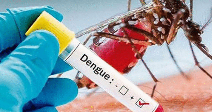 அனர்த்தத்தின் பின்னர் டெங்கு பரவும் ஆபத்து – தேசிய டெங்கு கட்டுப்பாட்டுப் பிரிவு எச்சரிக்கை!