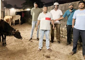 அனுமதியின்றி இறைச்சிக்காக வெட்டப்படவிருந்த – கன்றுகள் உட்பட 15 மாடுகள் மீட்பு