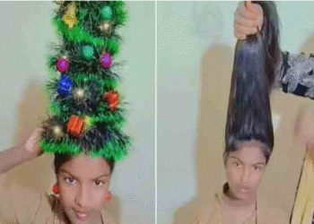 இது தலைமுடியா? கிறிஸ்துமஸ் மரமா?