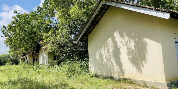 ஒரு தசாப்தத்திற்கும் மேலாக மக்களிடம் கையளிக்கப்படாத சுனாமி வீட்டுத்திட்டம் – கவனிக்குமா அரசாங்கம்?