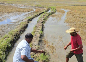 திருமலை விவசாயிகளுக்கு 1,001 மில்லியன் நஷ்ட ஈடு