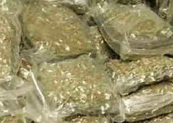 இந்தியாவிலிருந்து இலங்கைக்கு கடத்தவிருந்த கஞ்சா பறிமுதல்