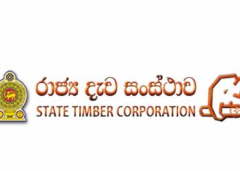 அனர்த்தம் ஏற்படுத்தக் கூடிய மரங்கள் இருப்பின் அறிவிக்கலாம்