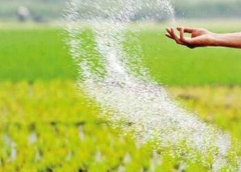 எதிர்வரும் திங்கட்கிழமை முதல் தொல்புரத்தில் உர விநியோகம்