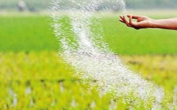 எதிர்வரும் திங்கட்கிழமை முதல் தொல்புரத்தில் உர விநியோகம்