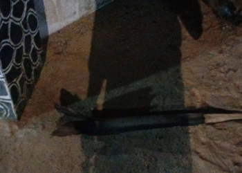 யாழில் கைக்குழந்தைகளுடன் இருந்த குடும்பத்தினர் மீது – வன்முறைக் குழு தாக்குதல்!