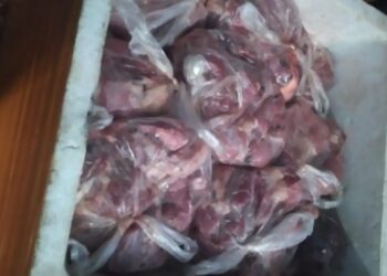 யாழில் மாட்டு இறைச்சியுடன் ஒருவர் கைது!