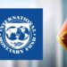 அடுத்த ஆண்டின் முற்பகுதியில் இலங்கை வரவுள்ள IMF பிரதிநிதிகள் குழு