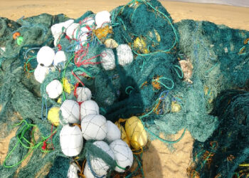 இந்திய இழுவைப் படகுகளால் பெருமளவு வலைகள் நாசம்