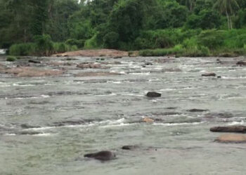 குழந்தைகளுடன் ஆற்றில் குதித்த தாய்!