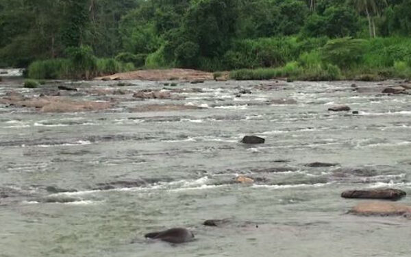 குழந்தைகளுடன் ஆற்றில் குதித்த தாய்!