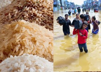 வெள்ளத்தால் பழுதடைந்த அரிசியை விற்க முயற்சி