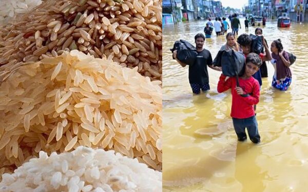 வெள்ளத்தால் பழுதடைந்த அரிசியை விற்க முயற்சி