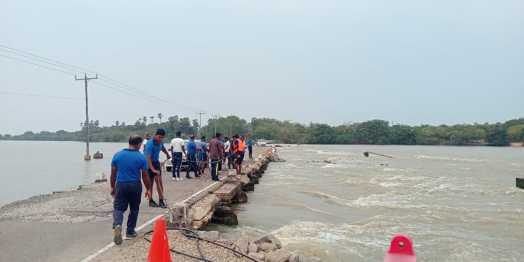 வெள்ளத்தால் சேதமாக்கப்பட்ட – பைபர் இணைய சேவைக்கான வயர்களை மீட்கும் நடவடிக்கை!