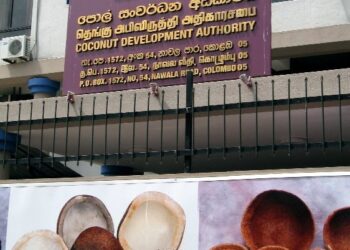 தெங்கு அபிவிருத்தி அதிகாரசபையின் பதிவு செய்தல் செயற்றிட்டம் ஆரம்பம்