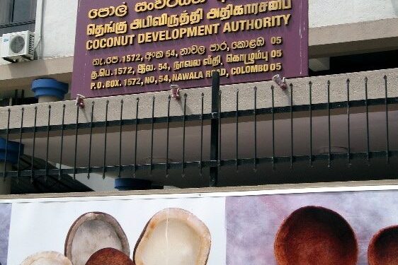 தெங்கு அபிவிருத்தி அதிகாரசபையின் பதிவு செய்தல் செயற்றிட்டம் ஆரம்பம்