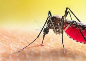 டெங்கு நுளம்பு பெருகக்கூடிய சூழலை வைத்திருந்த 30 பேருக்கு – மூன்று இலட்சம் ரூபா அபராதம்!