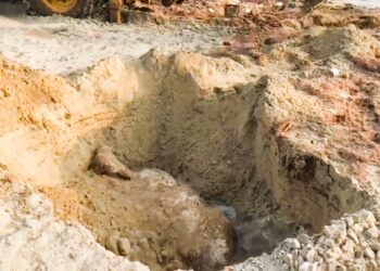 மன்னாரில் கரையொதுங்கிய மாடுகள்!