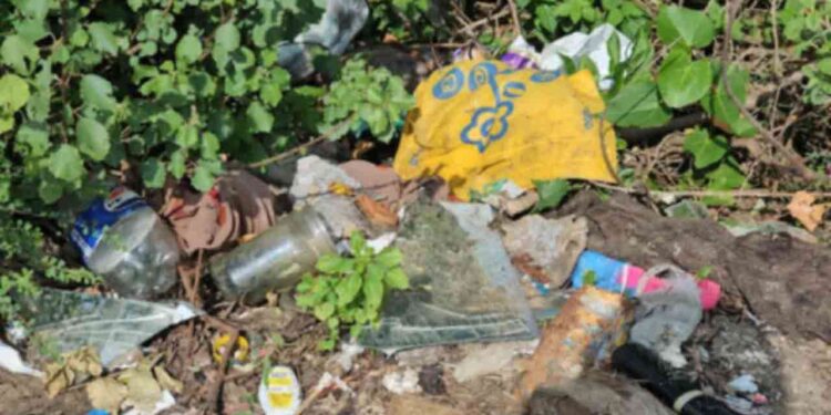 யாழ். காக்கைதீவில் வீசப்பட்ட மாட்டின் தலை மற்றும் கழிவுகள்!