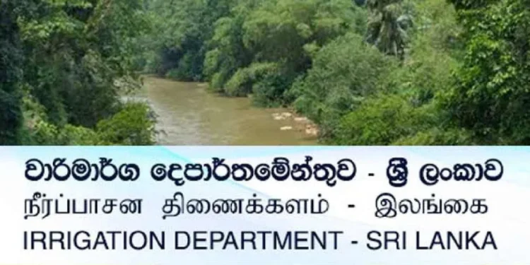 கால்வாய்களை சீரமைக்கும் பணிகள் துரிதம்!