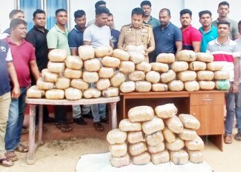 கிளி.பண்னாங்கண்டியில் – 131 கிலோ கஞ்சா மீட்பு!