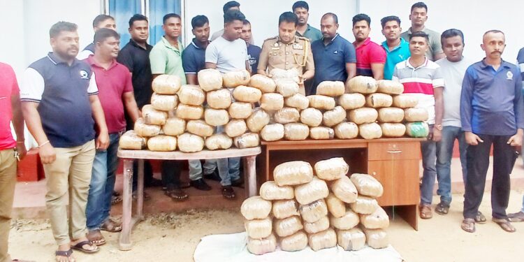 கிளி.பண்னாங்கண்டியில் – 131 கிலோ கஞ்சா மீட்பு!