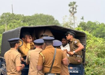 தையிட்டி விகாரைக்கு எதிராக போராட்டம், பொலிஸார் அடாவடி, பலர் கைது!