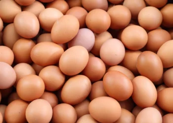 பண்டிகைக் காலத்தில் – முட்டையின் விலை அதிகரிக்கும்!