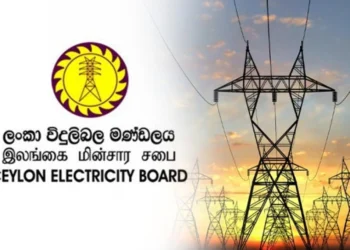 பேரிடர் பாதித்த பகுதி வீடுகளுக்கு மின்சாரம் துண்டிக்கப்படாது