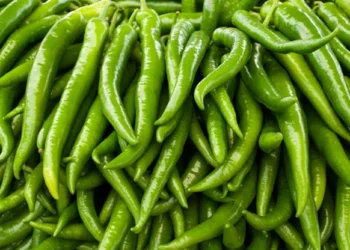 உச்சம் தொட்ட பச்சை மிளகாய்!