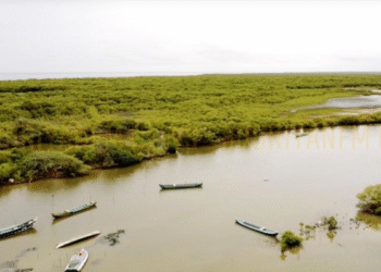 விடத்தல்தீவு சரணாலய பாதுகாப்பு உறுதியானது – பவித்ராவின் வர்த்தமானி இரத்து
