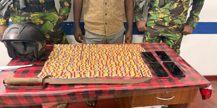 யாழில் போதை மாத்திரைகள், வாளுடன் 4 இளைஞர்கள் கைது!