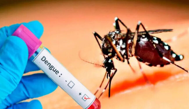 நாட்டில் டெங்கு அபாயம் அதிகரிப்பு!