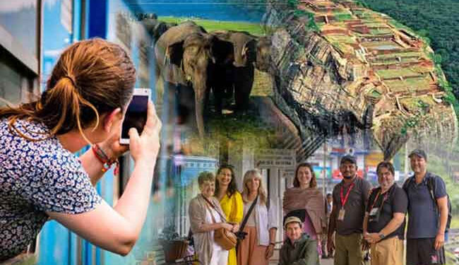 22 நாட்களில் 194,553 சுற்றுலாப் பயணிகள்!