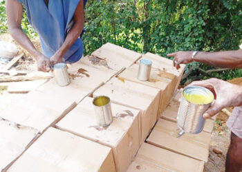 தரமற்ற டின் மீன் டின்கள் அழிப்பு!