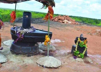 வெடுக்குநாறிமலை ஆலயத்தின் நிலம், பாதையை விடுவித்துத் தர வேண்டும்!