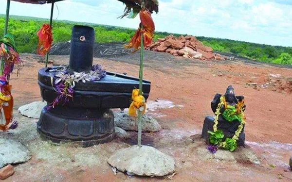 வெடுக்குநாறிமலை ஆலயத்தின் நிலம், பாதையை விடுவித்துத் தர வேண்டும்!