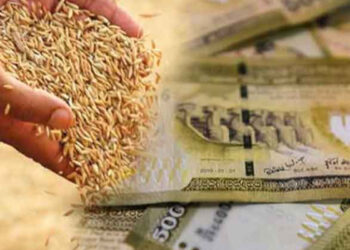 நெல் விவசாயிகளுக்கு கடன் வழங்கும் திட்டம்!