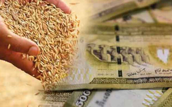 நெல் விவசாயிகளுக்கு கடன் வழங்கும் திட்டம்!