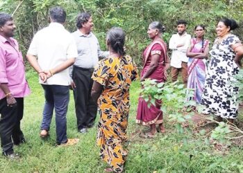 தண்ணிமுறிப்பு – ஆண்டான்குளம் – ஏ.சி. பாம் : மீள்குடியேற்றம் எப்போது? அரசு பதிலளிக்க வேண்டும்