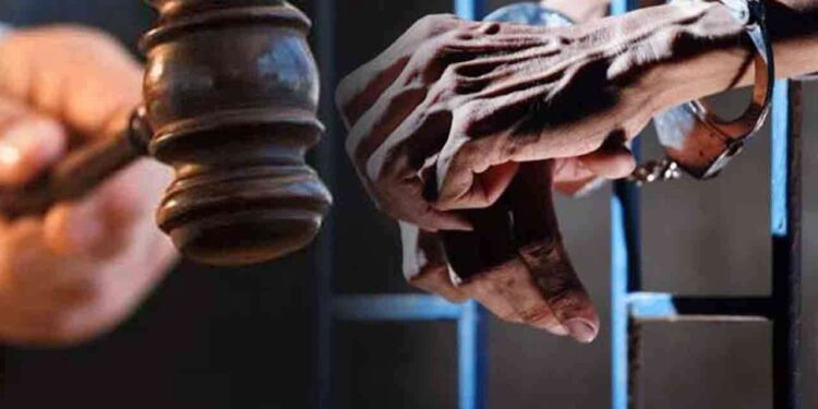 கால்நடைகளை கடத்தியவர்கள் மீது பொலிஸார் துப்பாக்கிச் சூடு!